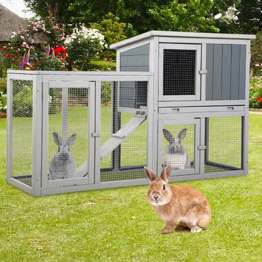 Bunny sales outdoor playpen